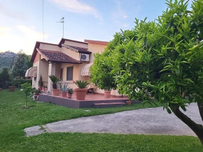 The House of Citrus - amazing country house near Viareggio beach and Lucca